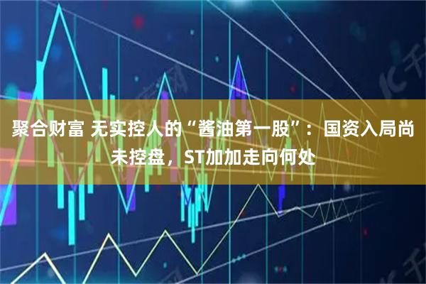 聚合财富 无实控人的“酱油第一股”：国资入局尚未控盘，ST加加走向何处