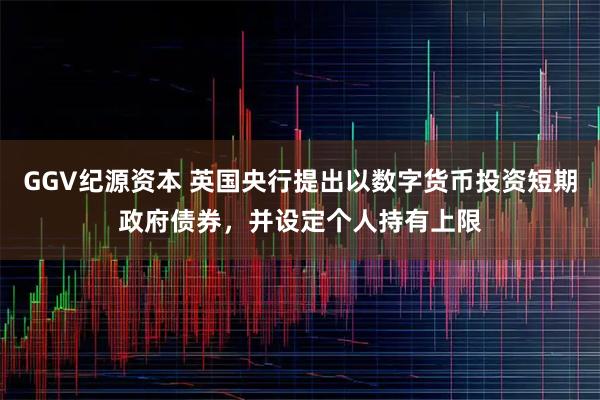 GGV纪源资本 英国央行提出以数字货币投资短期政府债券，并设定个人持有上限