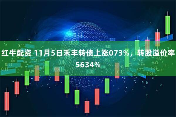 红牛配资 11月5日禾丰转债上涨073%，转股溢价率5634%