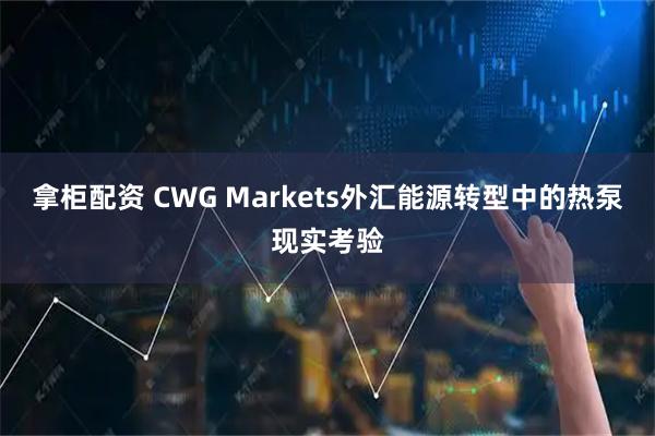 拿柜配资 CWG Markets外汇能源转型中的热泵现实考验